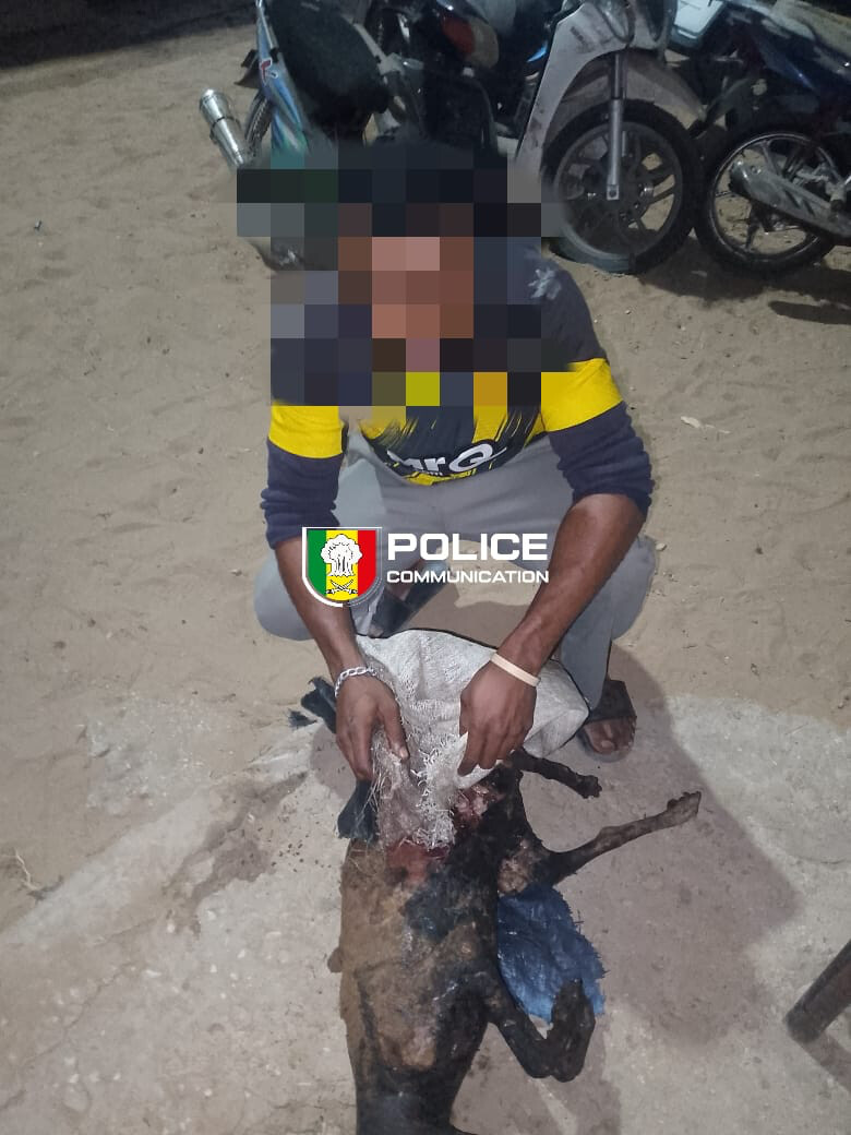 Guédiawaye : Un individu interpellé pour mise en danger de la vie d'autrui après avoir tenté de cuisiner un chien