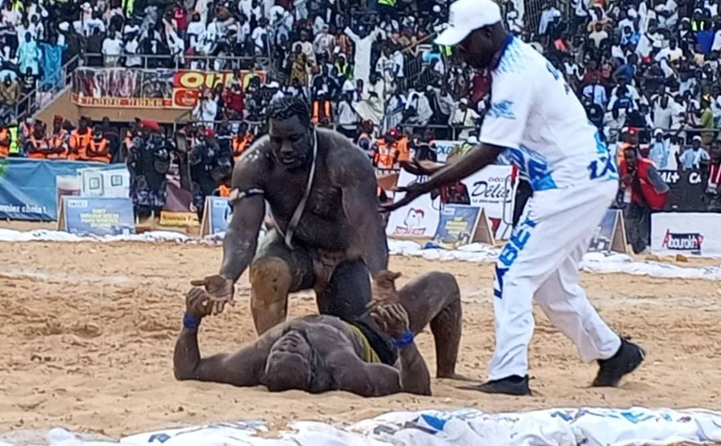 Canal+ dans l’arène, la presse sénégalaise dans les gradins Canal+ dans l’arène, la presse sénégalaise dans les gradins