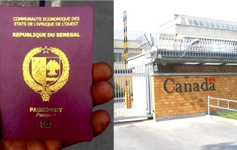 D iaspora : Le cri de détresse des Sénégalais du Canada, menacés d'expulsion à cause de leurs passeports