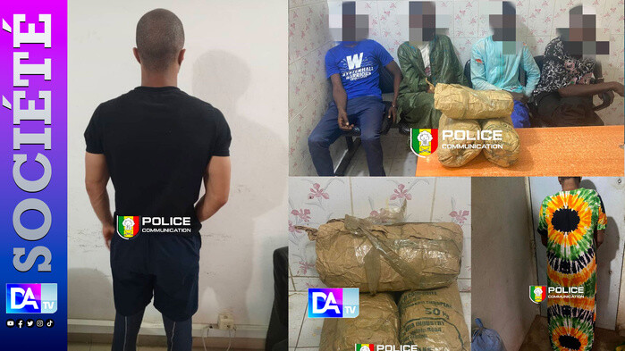 Chanvre, crack, tramadol : l’OCRTIS lance une traque nationale et démantèle plusieurs réseaux