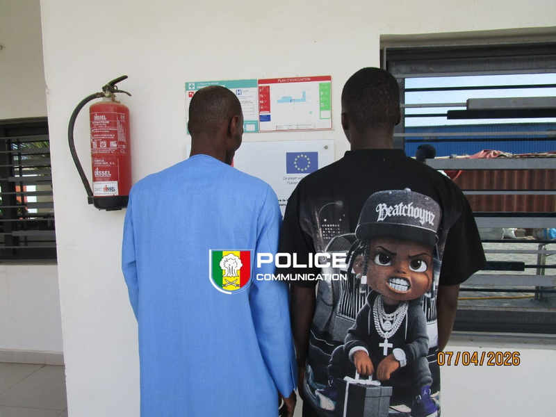 Démantèlement d’un réseau de fraude documentaire à Richard-Toll : deux individus déférés au parquet