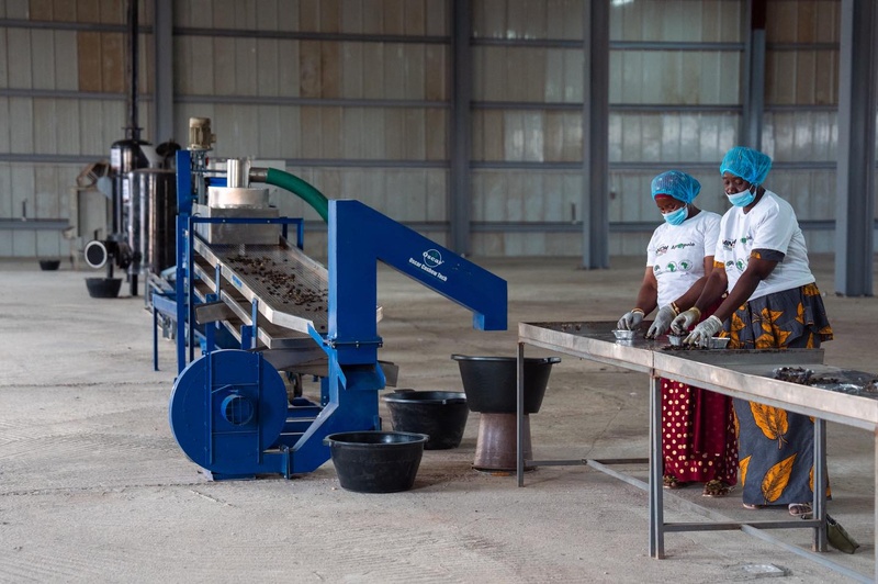 Le Président de la République, Bassirou Diomaye Faye, inaugure le parc agro-industriel de Kolda Le Président de la République, Bassirou Diomaye Faye, inaugure le parc agro-industriel de Kolda