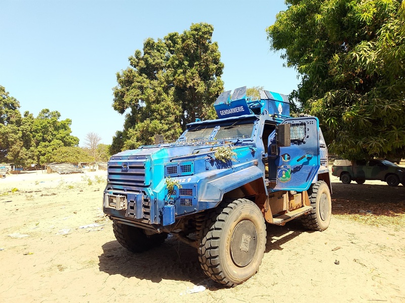 Plus de 6 tonnes de chanvre indien d'une contre-valeur de plus de 400 millions de CFA, 14 rebelles arrêtés et des armes saisies : les Armées intensifient la lutte dans le Nord Sindian (FDS TV) Plus de 6 tonnes de chanvre indien d'une contre-valeur de plus de 400 millions de CFA, 14 rebelles arrêtés et des armes saisies : les Armées intensifient la lutte dans le Nord Sindian (FDS TV)