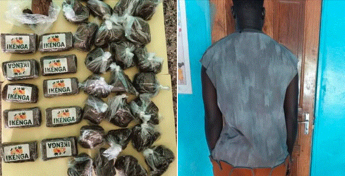 TRAFIC DE DROGUE : UN PASSAGER ARRÊTÉ AVEC 17,5 MILLIONS FCFA DE HASCHICH À KARANG
