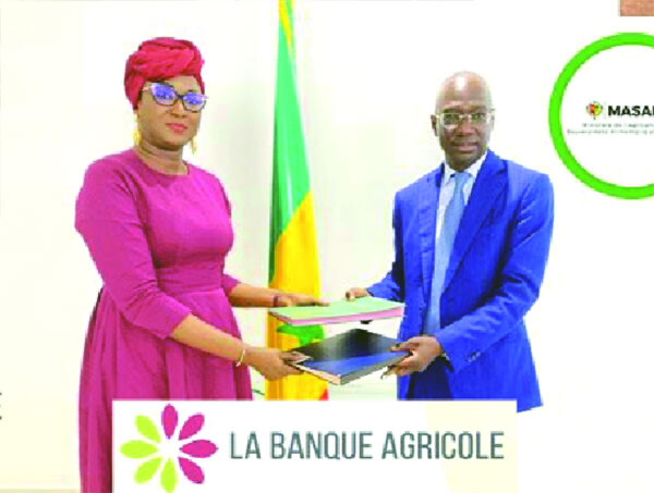Rapport – Subvention du matériel agricole : LA COUR DES COMPTES ÉPINGLE LA LBA ET LE DAGE DU MASAE