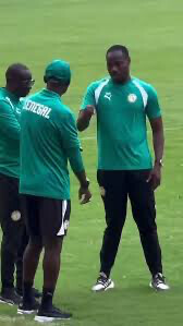 Entraînement des Lions à New Jersey : Édouard Mendy seul absent 