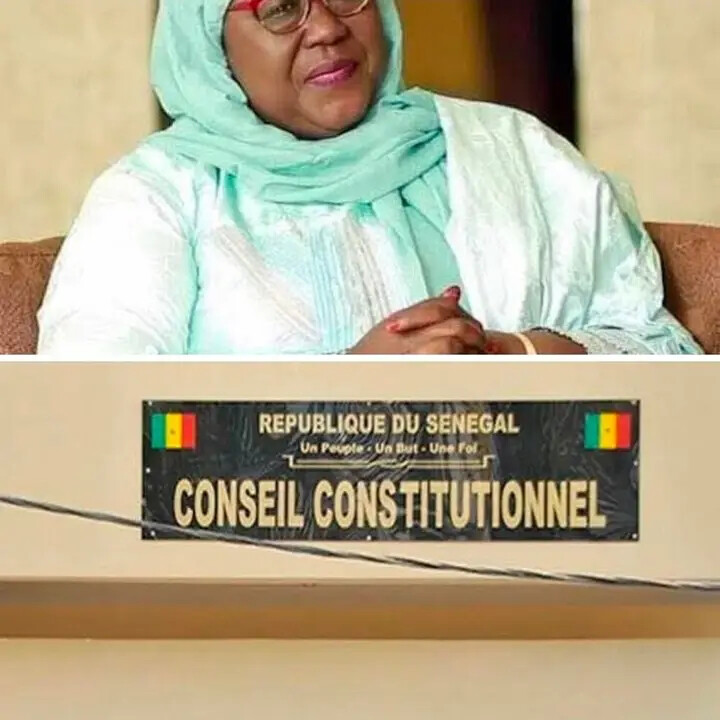 Les leçons de la décision du Conseil constitutionnel