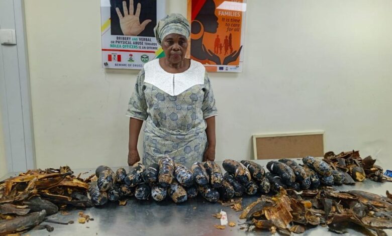 Une grand-mère arrêtée avec 13 kg de cocaïne dissimulés dans des pelures de plantain