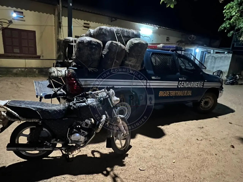 Lutte contre le trafic de drogue : 360 kg de chanvre indien saisis à Joal Lutte contre le trafic de drogue : 360 kg de chanvre indien saisis à Joal