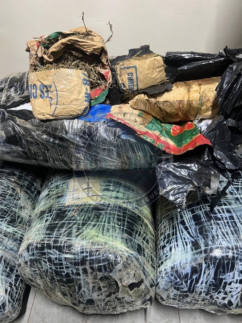 Près de 305 kgs de chanvre indien saisis-Un réseau transnational de trafic de drogue démantelé à Thiaroye par la BR de Keur Massar