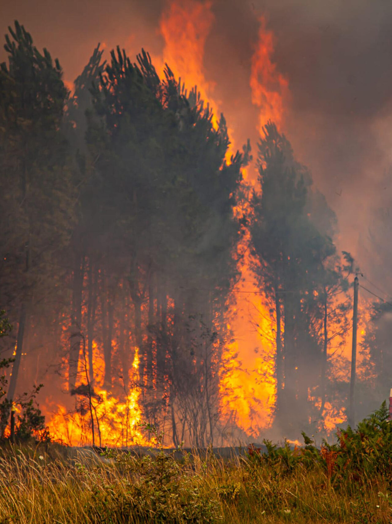 Incendies en France: avec près de 98 000 hectares calcinés, le pays fait face à un sinistre sans précédent Incendies en France: avec près de 98 000 hectares calcinés, le pays fait face à un sinistre sans précédent