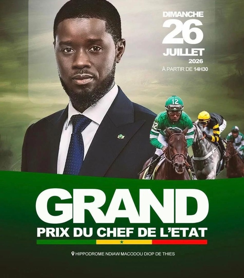 Le Grand Prix du Chef de l'État reporté à Thiès : le cri du cœur d'une filière équestre en quête de modernité