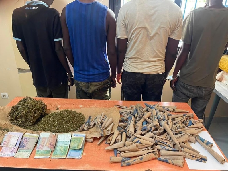 Saly : un réseau présumé de trafic de chanvre indien démantelé, quatre suspects déférés pour trafic et tentative de corruption