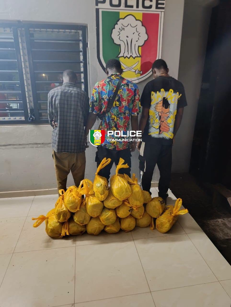Bignona : trois individus interpellés avec 20 kilogrammes de chanvre indien