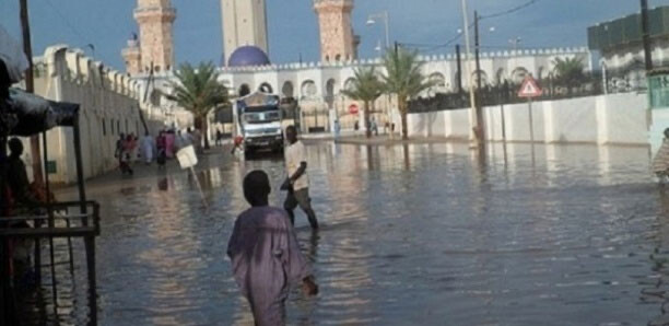 Inondations à Touba : Darou Khadim et Kawsara noyés dans le désespoir