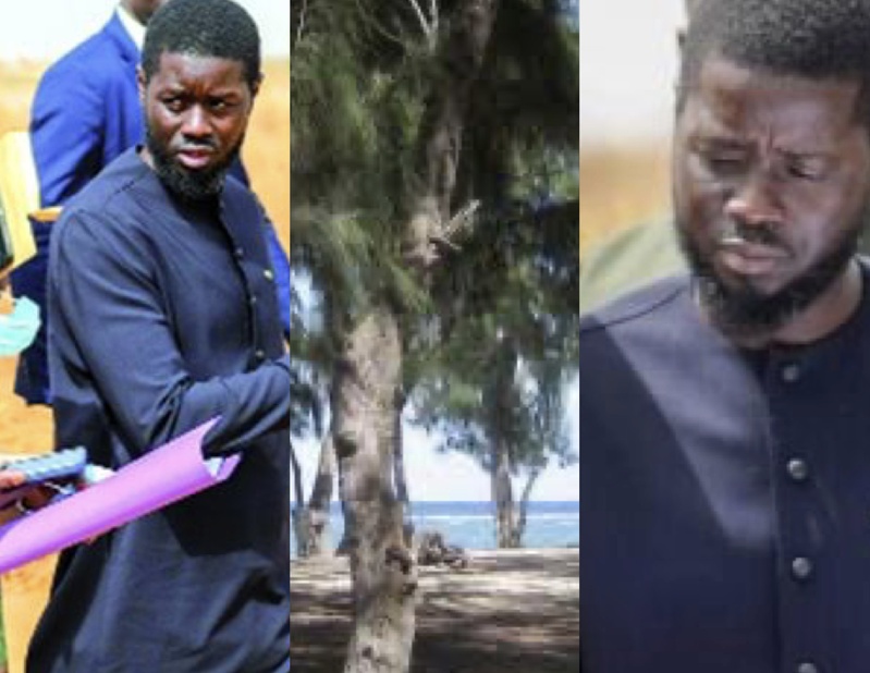 Déguerpissement à Guédiawaye : 3000 travailleurs des filaos (maraîchers, éleveurs et artisans ) lancent un appel pressant au président Diomaye Faye Déguerpissement à Guédiawaye : 3000 travailleurs des filaos (maraîchers, éleveurs et artisans ) lancent un appel pressant au président Diomaye Faye