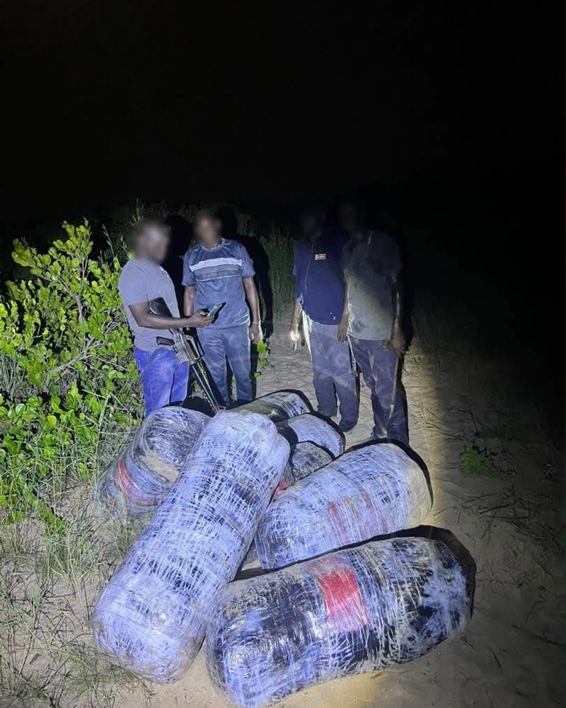 Lutte contre le trafic de stupéfiants : La Gendarmerie nationale démantèle un important réseau et saisit 360 kg de chanvre indien sur le littoral de Mbodiène Lutte contre le trafic de stupéfiants : La Gendarmerie nationale démantèle un important réseau et saisit 360 kg de chanvre indien sur le littoral de Mbodiène