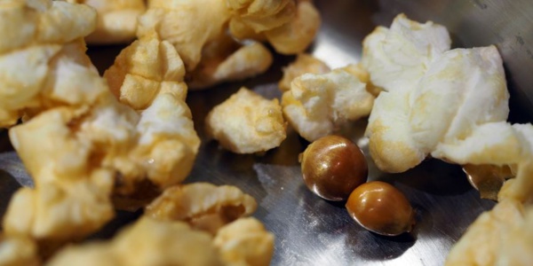 La question de la semaine : pourquoi le maïs éclate quand on le chauffe ? La question de la semaine : pourquoi le maïs éclate quand on le chauffe ?