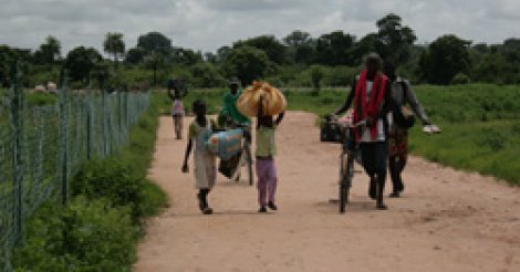 Plus de 14 000 personnes réfugiées en Gambie et Guinée Bissau Plus de 14 000 personnes réfugiées en Gambie et Guinée Bissau