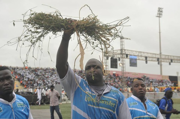 Quelques images du combat Lac De Guiers n 2/ Yekini Quelques images du combat Lac De Guiers n 2/ Yekini