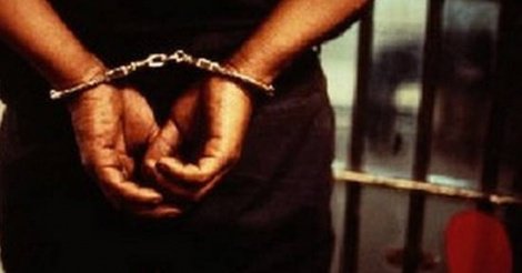 Un Sénégalais en prison au Gabon pour trafic d’espèces protégées Un Sénégalais en prison au Gabon pour trafic d’espèces protégées