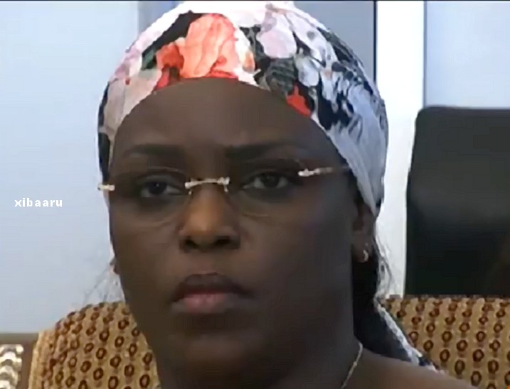 A propos de Marième Faye Sall : Mais où est le problème ? (Par Baba Tandian) A propos de Marième Faye Sall : Mais où est le problème ? (Par Baba Tandian)