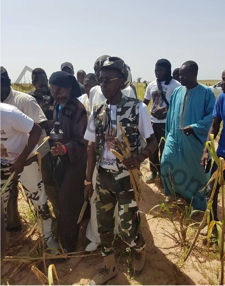 Cheikh Amar, sa fratrie, bref tout le  groupe Holding Amar aux champs de Serigne Saliou Mbacké à Khelcom