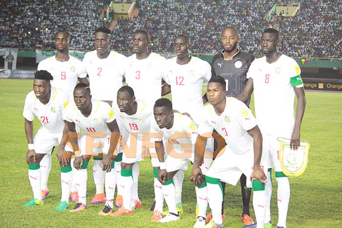 Cm : Les Lions S’inclinent En Afrique Du Sud Cm : Les Lions S’inclinent En Afrique Du Sud
