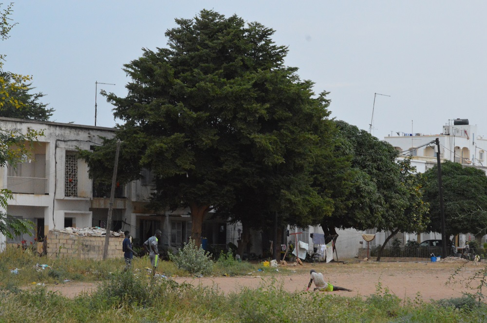 Amadou Bâ et un grand dignitaire religieux au cœur du scandale, la CCOD en urgence, les hauts fonctionnaires dans tous leurs états