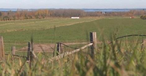 Spéculation foncière : La razzia des investisseurs étrangers Spéculation foncière : La razzia des investisseurs étrangers