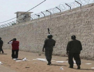 Milieu carcéral: « Méfiance aveugle » des politiques à l’égard de l’administration pénitentiaire