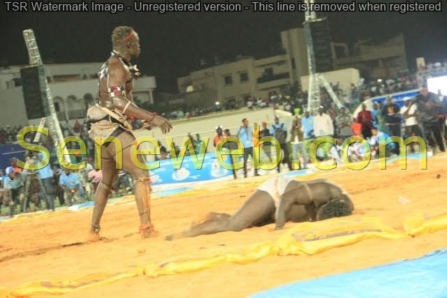 Siteu Bat Zoss, l'incroyable KO de ZOSS... Regardez Siteu Bat Zoss, l'incroyable KO de ZOSS... Regardez