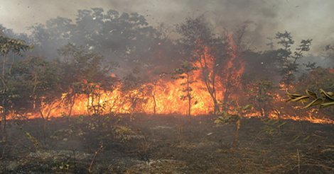Incendie à Dolly : La gendarmerie ouvre une enquête