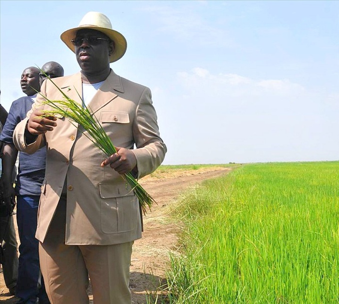 Le Pr Macky Sall reporte sa visite à Fatick...A l'origine le courroux de jeunes Fatickois