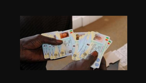 Difficultés de certains citoyens à retrouver leurs cartes: « Certaines autorités administratives ne maîtrisent pas le tri » Difficultés de certains citoyens à retrouver leurs cartes: « Certaines autorités administratives ne maîtrisent pas le tri »