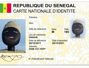 Législatives 2017 : Vote avec les anciennes cartes : Manko et Wattù pas d’accord Législatives 2017 : Vote avec les anciennes cartes : Manko et Wattù pas d’accord