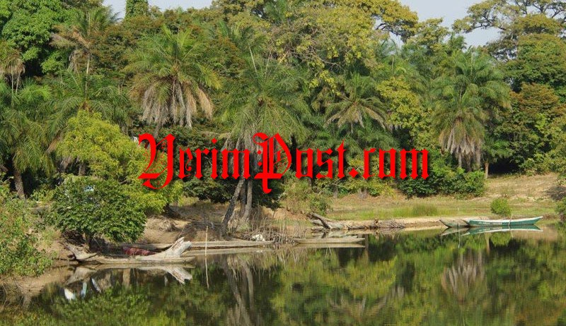 À l’origine du carnage de Niaguis, un règlement de comptes ! À l’origine du carnage de Niaguis, un règlement de comptes !