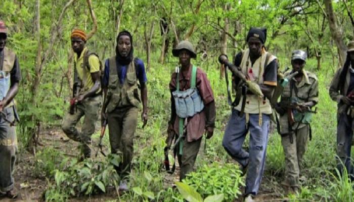 Le procureur de Ziguinchor: «nous avons arrêté le cerveau de l'attaque. Un lieutenant du MFDC, a dirigé les opérations de la tuerie »