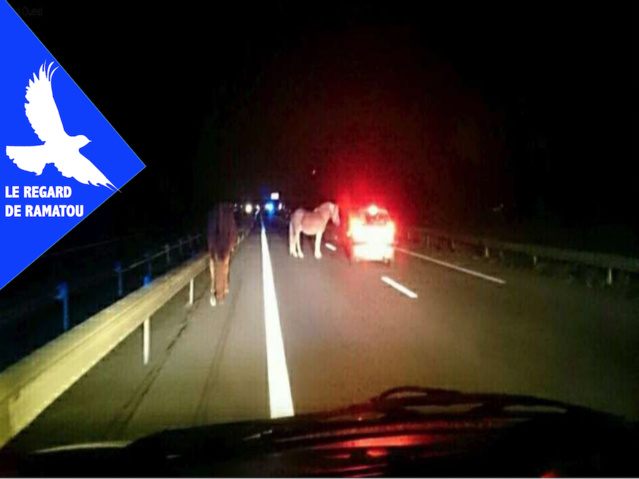 LE REGARD DE RAMATOU - Désengorgement de Dakar: Diass, le vrai faux prétexte LE REGARD DE RAMATOU - Désengorgement de Dakar: Diass, le vrai faux prétexte