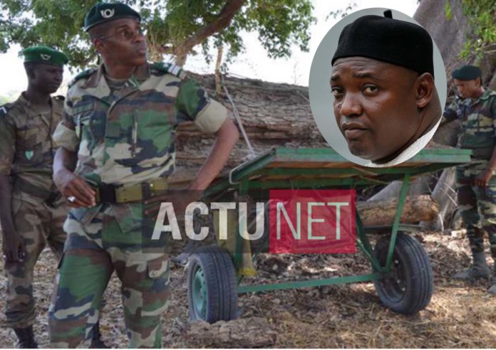 Casamance : Deux agents des Eaux et Forêts arrêtés par la Police gambienne