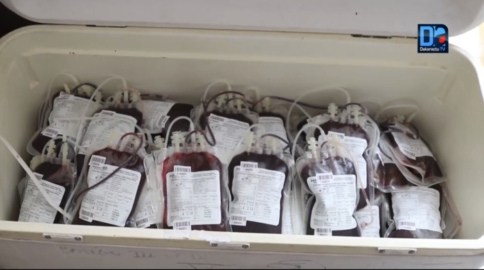 PENURIE DE SANG A PODOR : Les amazones de Racine Sy battent le record avec 53 poches recueillies