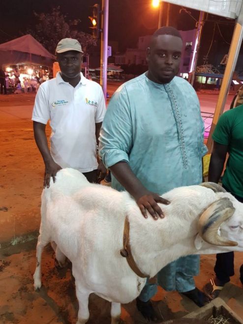 Cette année, c’est Amadou Sall qui achète le mouton présidentiel (Photos)