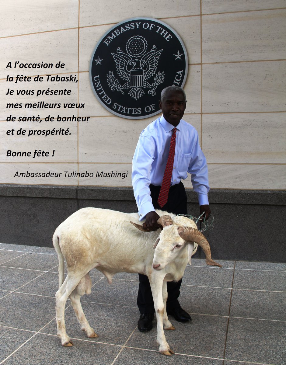 Tabaski : L'ambassadeur des États-Unis pose avec son mouton
