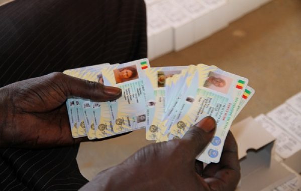 Vol de cartes d'identité : La responsable Apr de Mbour jugée ce lundi