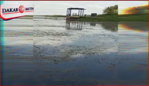 Vidéo:Les images choquantes du fleuve Sénégal: le SOS désespéré de la population