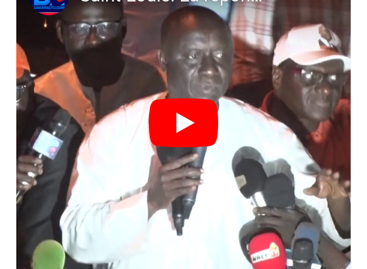 Saint-Louis : La réponse dosée d'Idrissa Seck à ceux qui veulent le départ de Macky Sall
