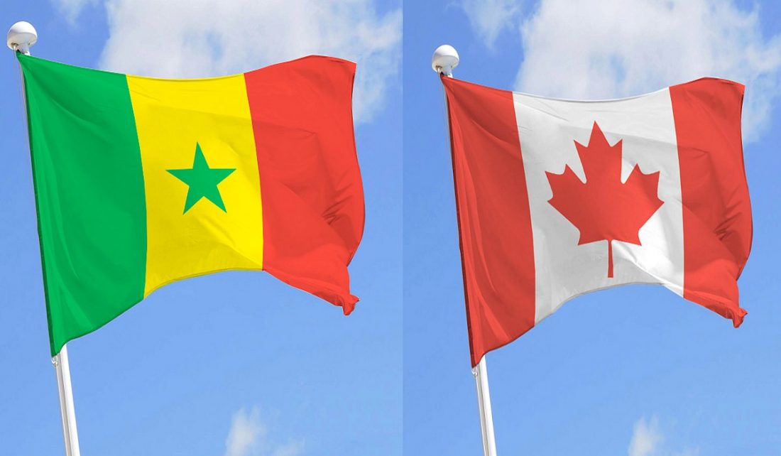 Escroquerie : Afip Canada déleste 200 étudiants de 150 millions Escroquerie : Afip Canada déleste 200 étudiants de 150 millions