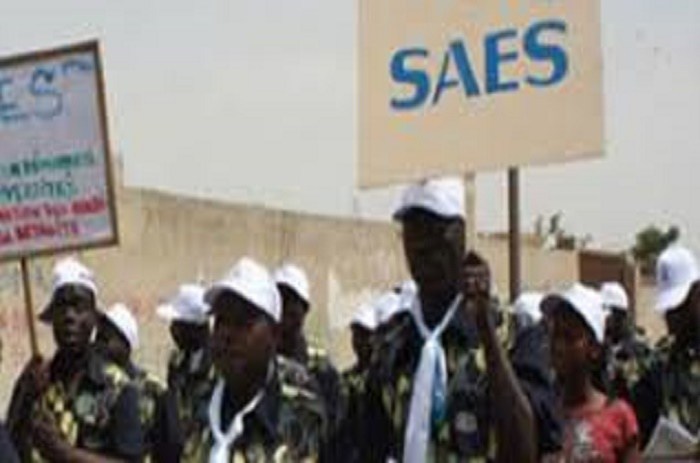 Enseignement Supérieur : Le SAES  Avertit Cheikh Oumar HANN