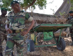 Chaude altercation entre militaires gambiens et agents des eaux et forêts Sénégalais