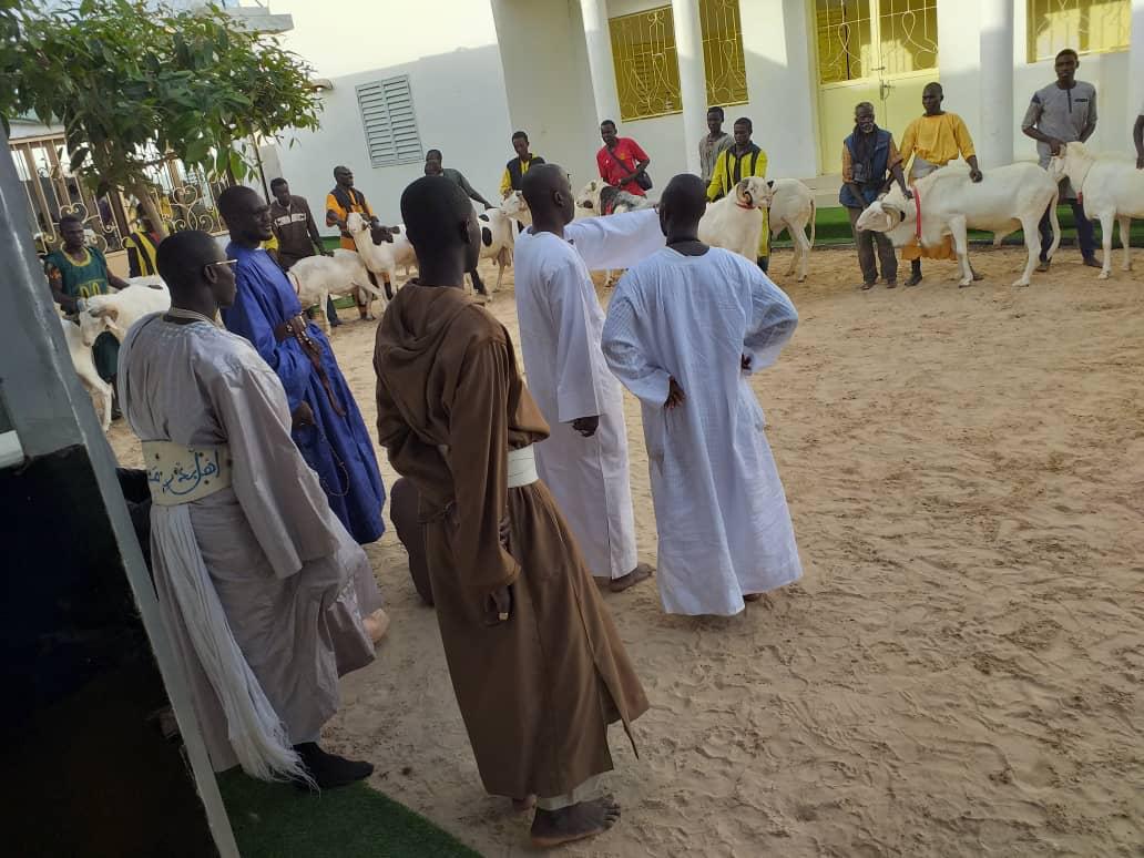 TABASKI- Serigne Moussa Nawel  offre  28 béliers au khalif général des mourides